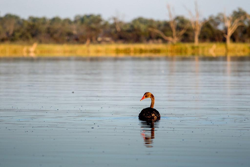 Discovery Parks - Lake Bonney Barmera Luaran gambar